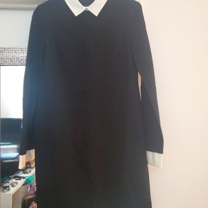 Cynthia Steffe black dress with white collar and cuffs size 4